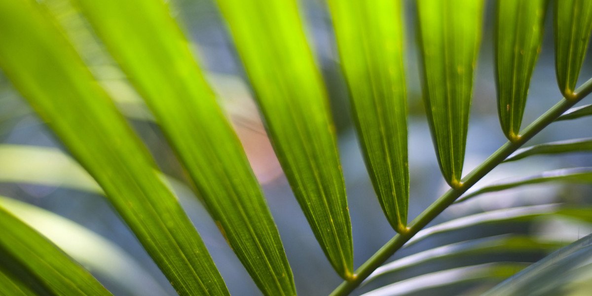 King Billy Casino Review 2025 $2500 Sign Up Bonus!