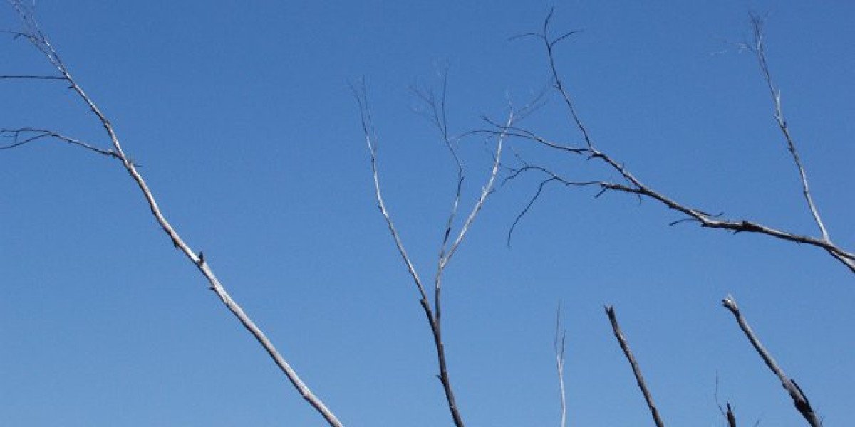 Treasury Casino Wikipedia