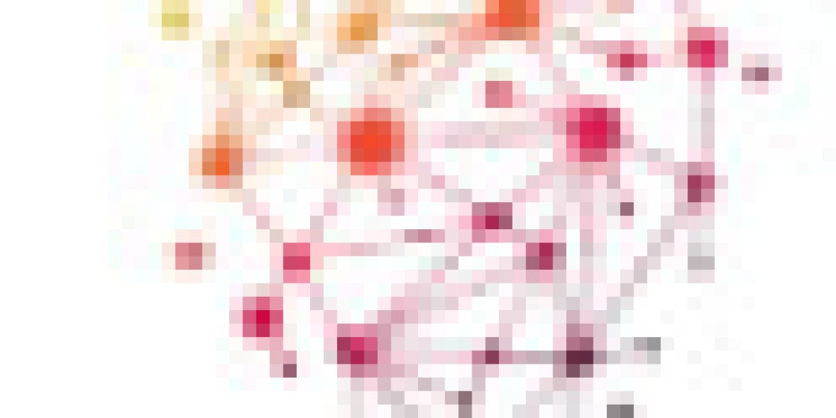 Elevating Organizations Through Award-Winning Business and Technology Consulting