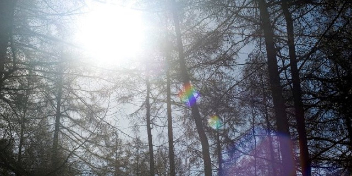 Play Online Poker for Real Money at Ignition