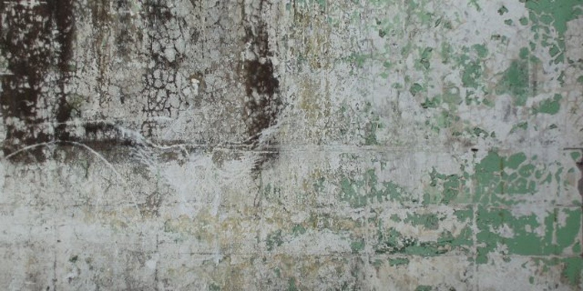 OAKS BRISBANE CASINO TOWER SUITES HOTEL VIEWS OF SOUTH BANK