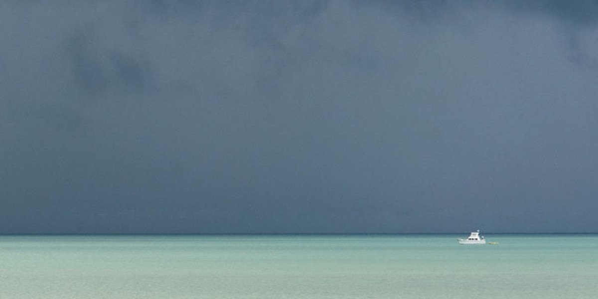 Ozwin Casino Bonuses No Deposit Promo Codes and Free Spins