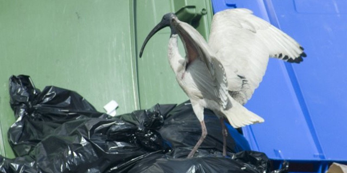 Best Online Casinos Australia 2025: Top 10 Aussie Casino Sites