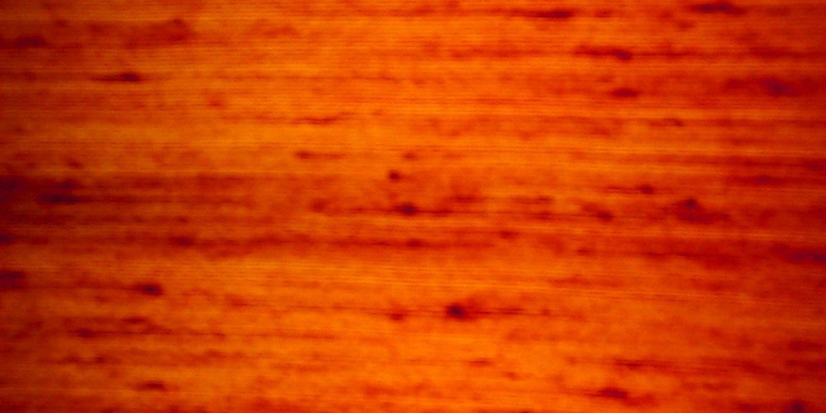 Latest Casino Bonuses & No Deposit Codes for 2025