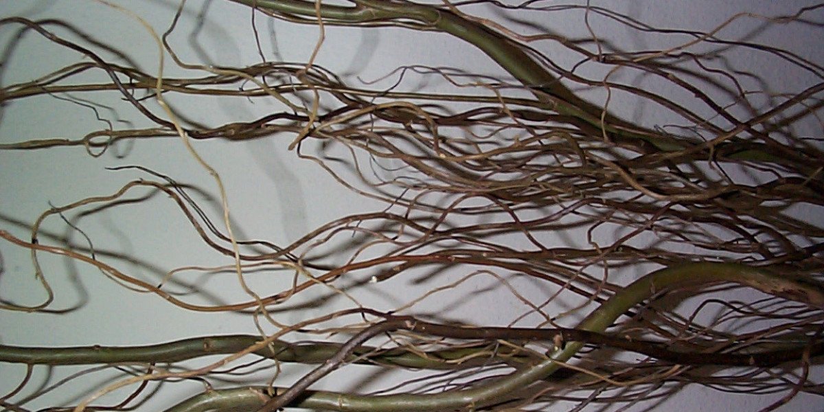 Best Online Casinos in Australia 2025 Top Casino Sites